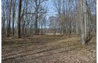 Property photo 108 - REAL ESTATE & PERSONAL PROPERTY AUCTION, 140 Acres offered in 8 Tracts or Combinations in Steuben County